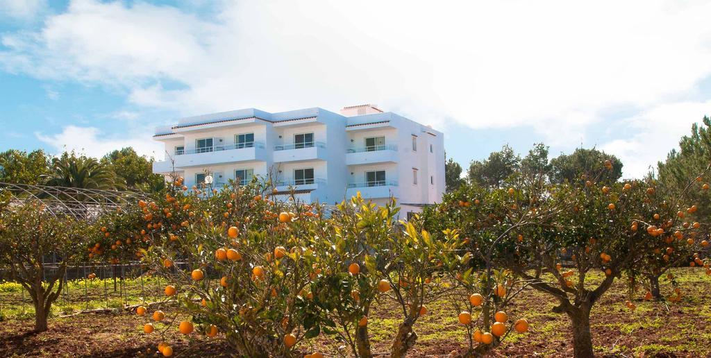 Sunset Oasis Ibiza Adults Only - New Rooms 2025 San Antonio  Ngoại thất bức ảnh