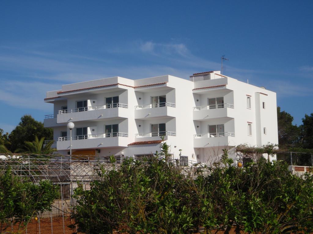 Sunset Oasis Ibiza Adults Only - New Rooms 2025 San Antonio  Ngoại thất bức ảnh
